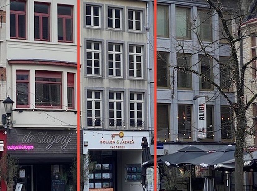 Bien professionnel à vendre
                    à 2800 Mechelen