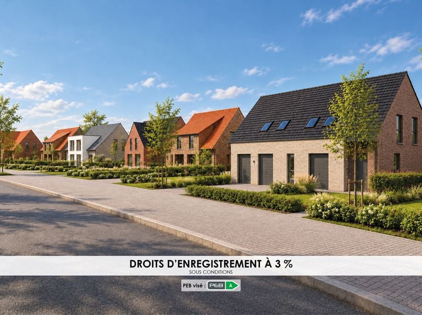 Projet à vendre à Rue du Palais 21,
                    7760 Pottes