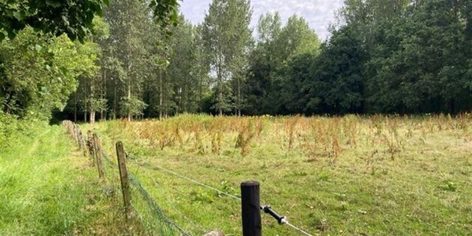 Grond te koop in Langedijk Z/N, 2430 Vorst