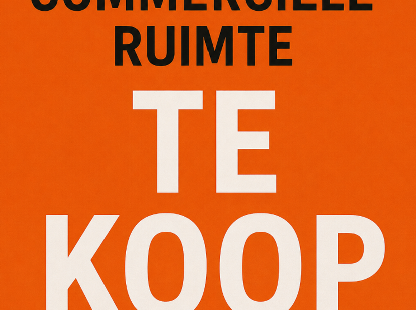 Gelegen langs de verbindingsweg Ninove–Brussel, bieden wij deze prachtige commerciële ruimte aan.<br />
<br />
Deze ruime, open handelsruimte biedt ee