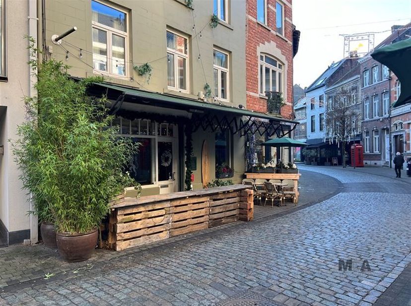 Bien professionnel à vendre
                    à 3500 Hasselt