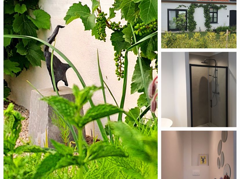 Charmante, aangename woning, gerenoveerd deel van vierkantshoeve begijntjes. Het is een groen woonerf, Wilgenhof met privé- en gemeenschappelijke tuin