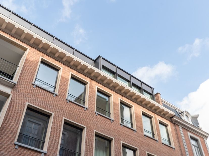 Appartement à louer à Gouvernementstraat 20,
                    9000 Gent