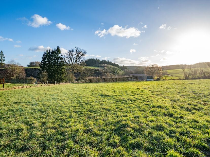 Lagence ERA B-Lux a le plaisir de vous présenter ce superbe terrain situé dans la commune de La Roche-en-Ardenne.Il sagit du dernier terrain disponibl