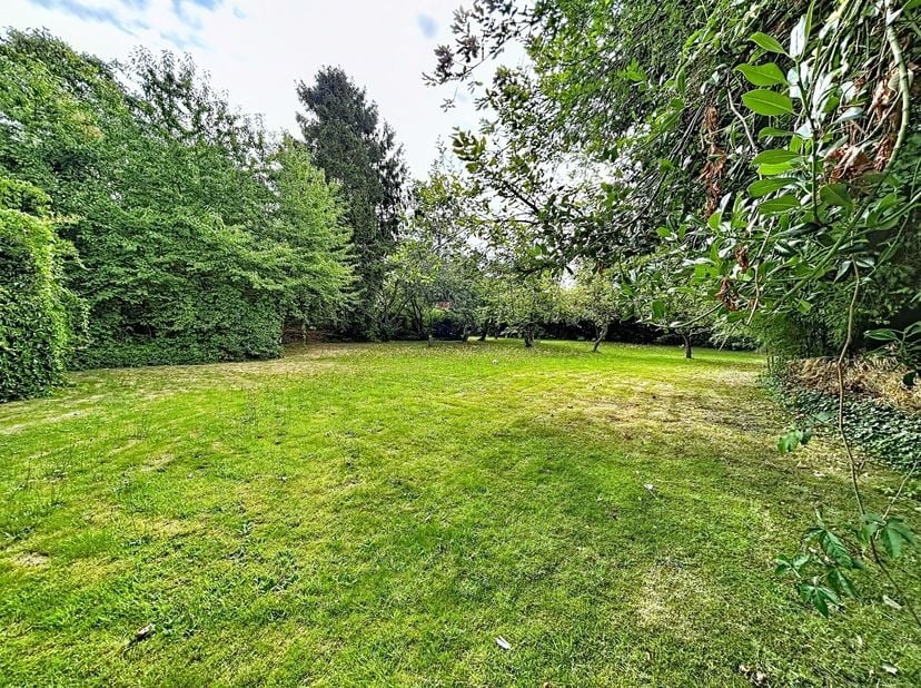 Terrain à vendre à Vuurkruislaan 12,
                    2610 Wilrijk