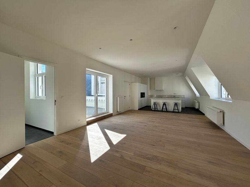 BRUSSEL, toeristisch centrum, vlakbij de Grote Markt en de Beurs, in de buurt van winkels, restaurants, openbaar vervoer. Dit ruime APPARTEMENT  (2 sl
