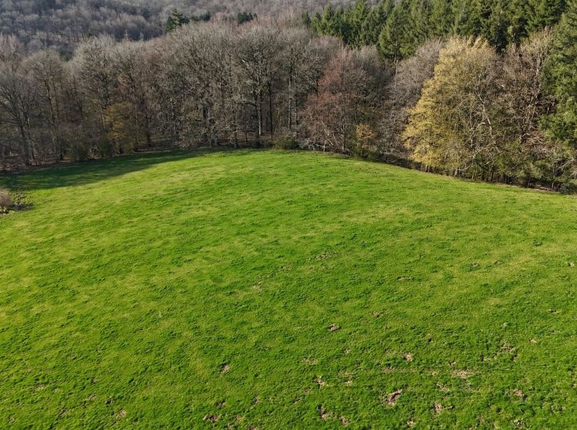 MCA Immobilier vous propose à la vente ce terrain d'exception à Rouge-Minière, sur la commune de Ferrières. <br />
Idéalement situé à proximité de l'E