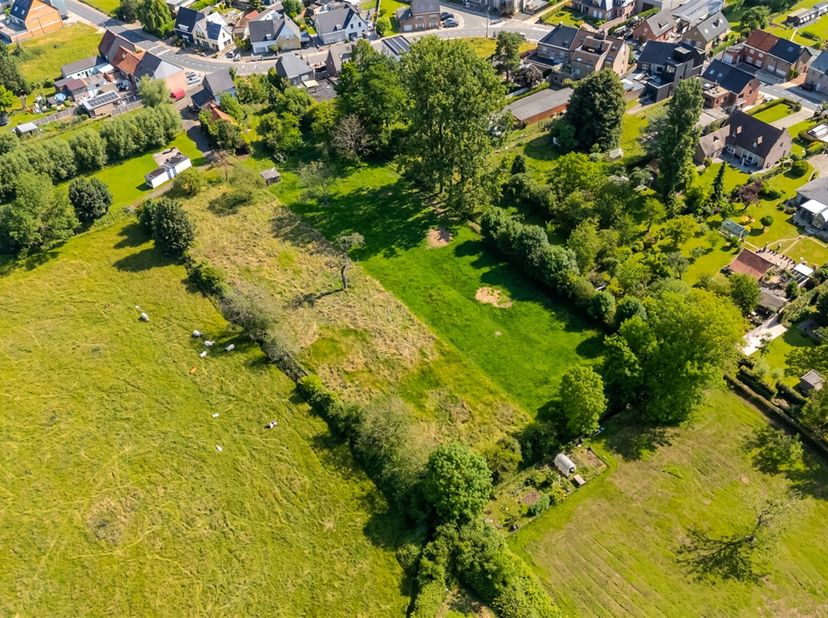 In de Beekstraat te Kerksken bevindt zich een mooi perceel landbouwgrond met een oppervlakte van 6521m². <br />
Het betreft lot 3 op het verkavelings