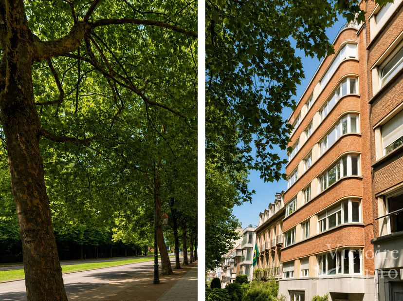 Gelegen op de prestigieuze Franklin Roosevelt-laan, heeft Victoire-Junot het genoegen u exclusief dit prachtige twee-slaapkamer appartement van ± 110