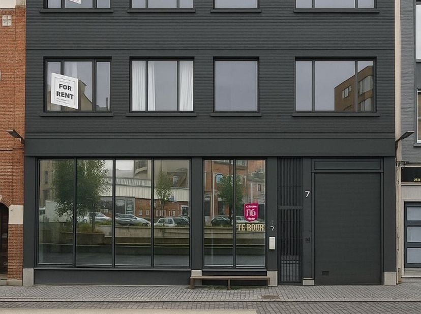 De Ijzerlaan in Antwerpen is een belangrijke verkeersas die de noordelijke en oostelijke delen van de stad verbindt. De laan zelf is voorzien van park