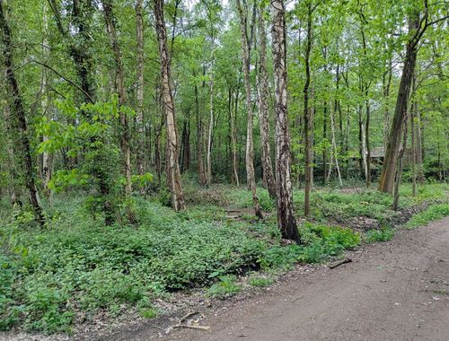                                         Bouwgrond te koop in Essen, € 210.000
