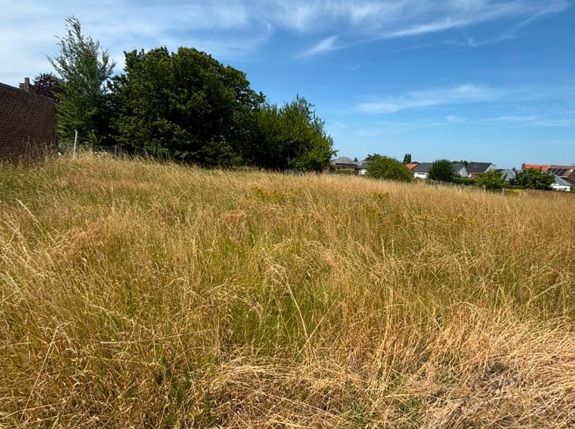 Zeer mooi perceel bouwgrond voor een half open bebouwing met een gevelbreedte van 9,90 m. Een totale perceeloppervlakte van 5a29ca. Bouwvoorschriften