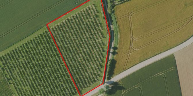 Terrain à vendre à Driewilgenstraat ZN, 3800 Sint-Truiden