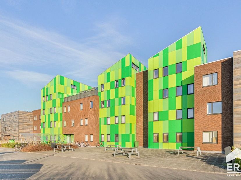 Kot-Colocation à vendre
                    à 8200 Sint-Michiels