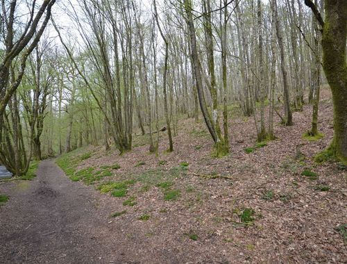                                         Bouwgrond te koop in Oignies-en-Thiérache, € 75.000
