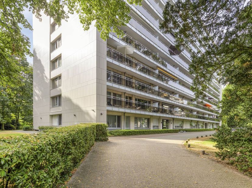Disposition : <br />
<br />
- hall d'entrée avec placard intégré <br />
- espace de vie lumineux <br />
- cuisine ouverte avec rangement attenant <br