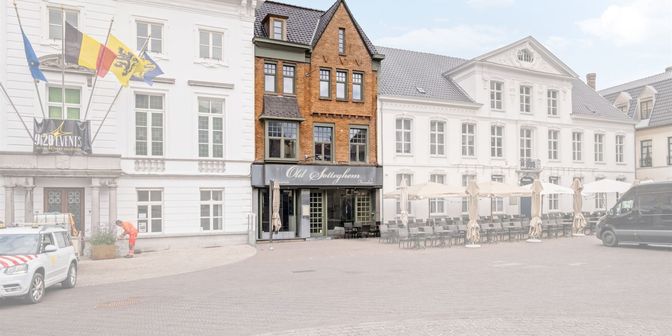 Bedrijfsvastgoed te koop in Markt 3, 9620 Zottegem
