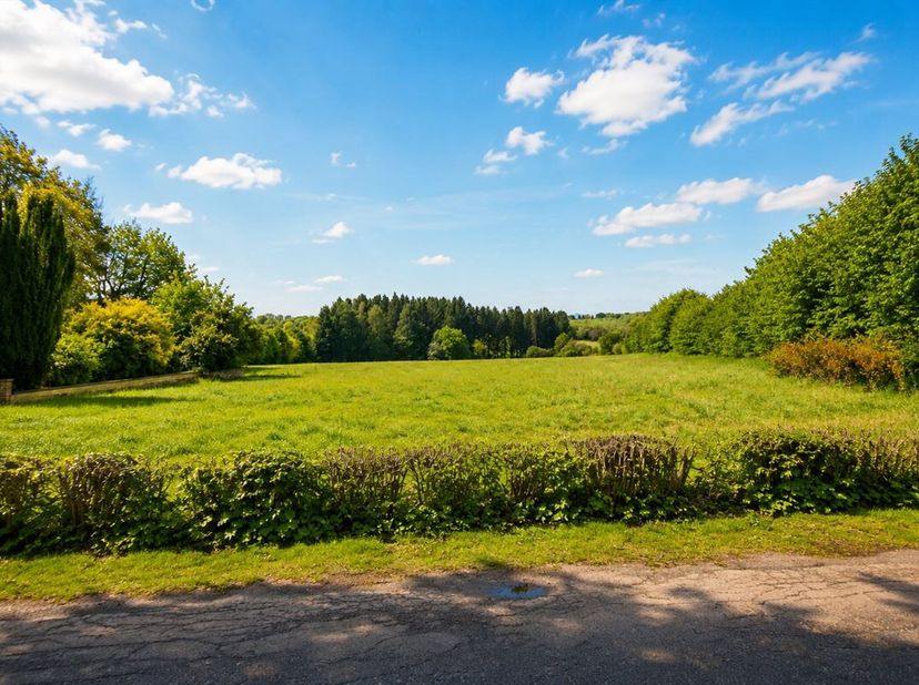 Dit prachtige perceel van 1 hectare 18 are ligt in een rustige en aangename wijk van Petite-Chapelle, heeft een voorgevel van meer dan 30 meter en bie