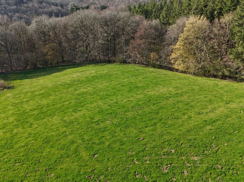 MCA Immobilier vous propose à la vente ce terrain d'exception à Rouge-Minière, sur la commune de Ferrières. <br />
Idéalement situé à proximité de l'E