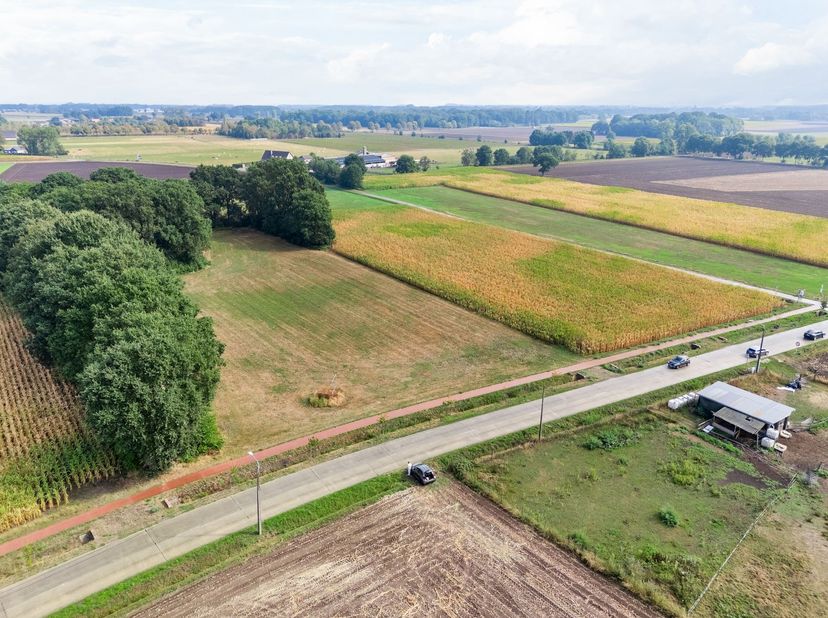 Drie landbouwgronden met een opp. van 2ha 18a 64ca<br />
<br />
Deze drie percelen, samen goed voor maar liefst 21.864 m², zijn gelegen langs de ver