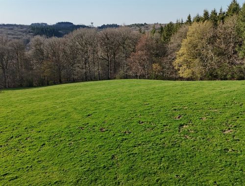                                        Terrain à vendre à Ferrières, € 125.000
