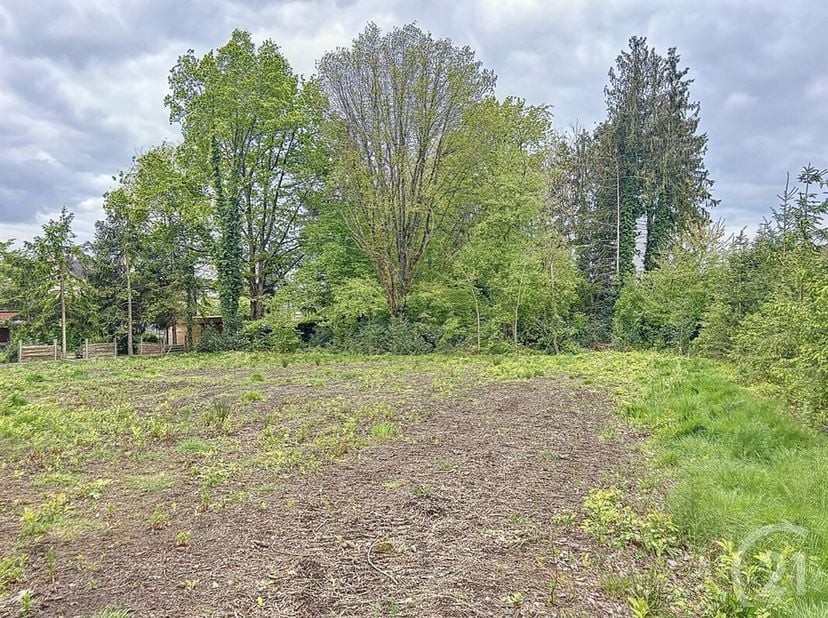Terrain à vendre
                    à 3201 Langdorp