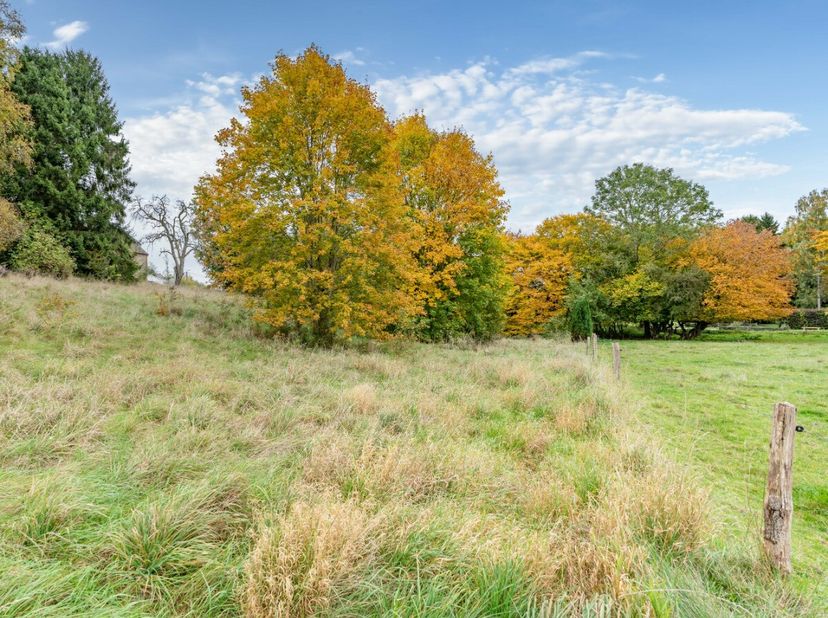 ERA BLUX presenteert u een prachtig vlak bouwterrein van ongeveer veertien are in Maissin, in de gemeente Paliseul, een locatie die gewaardeerd wordt