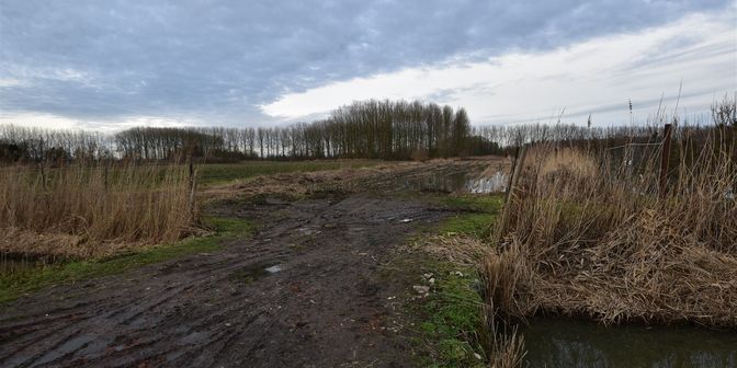 Grond te koop in Koning Albertdijk /, 9220 Moerzeke