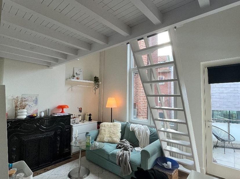 Ben je op zoek naar een gezellige studentenkamer in het bruisende Leuven? Dan is residentie CAMILLE de perfecte plek voor jou! Deze studentenkamer is