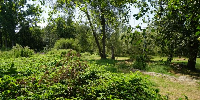 Terrain à vendre à Werchtersebaan 38, 3120 Tremelo