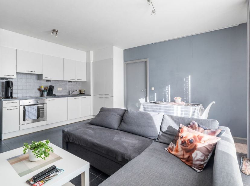 Gezellige éénslaapkamerappartement te koop in centrum van Waregem. Dit aangename en instapklare appartement is gelegen in het centrum van Waregem en d