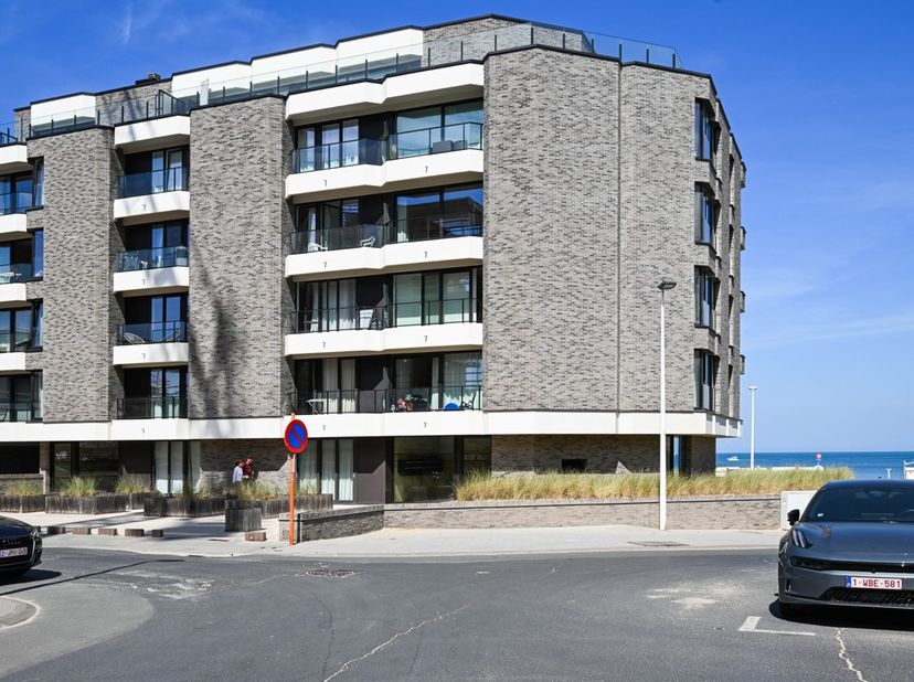 Het appartement bevindt zich op wandelafstand van het centrum van Sint-Idesbald, met zijn gezellige winkels, restaurants en terrasjes. Ook het openbaa