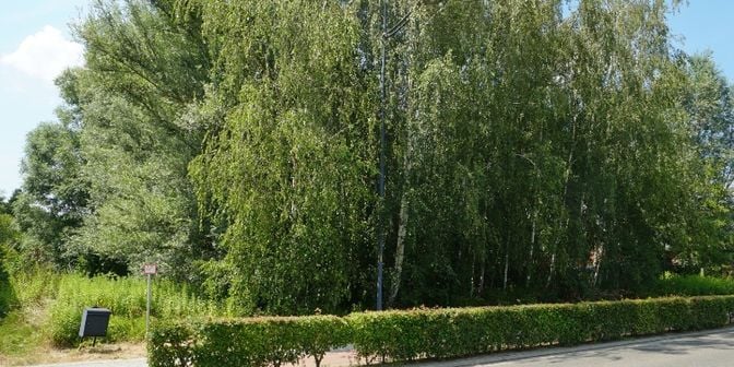 Terrain à vendre à Werchtersebaan 40, 3120 Tremelo