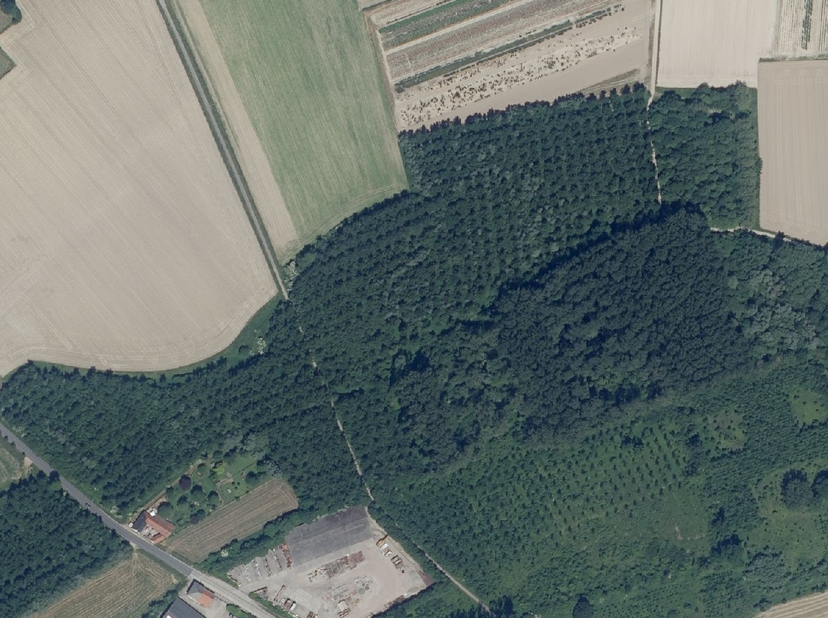 5 PARCELLES DE FORÊT - <br />
<br />
5 parcelles de forêt, situées dans les lieux-dits « Bouchautveld » et « Den Bergh », identifiées selon un extrait