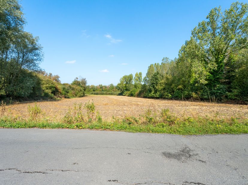 Grond te koop in Chevauchoire de Viane 99,
                    7860 Lessines
