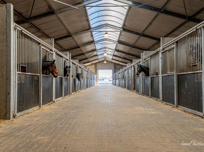 Op een prachtig domein van ca. 4,28 hectare bevindt zich deze volledig vergunde en operationele paardenaccommodatie, een toplocatie voor de profession