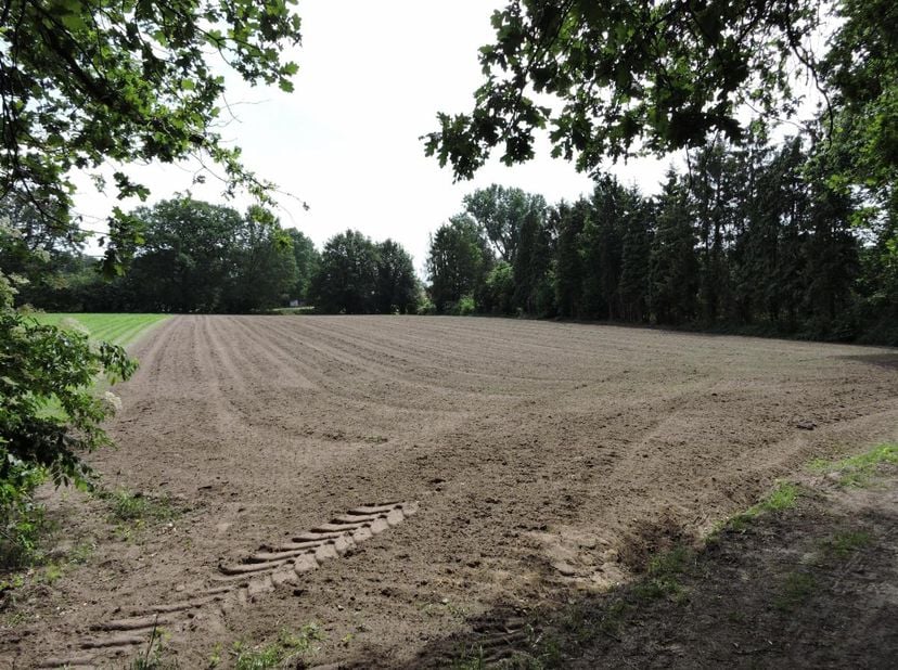 PERCEEL LANDBOUWGROND<br />
<br />
Groot 38a 90ca, vlot toegankelijk.<br />
<br />
Kadastraal inkomen: 9 EUR.<br />
<br />
P-score: A.