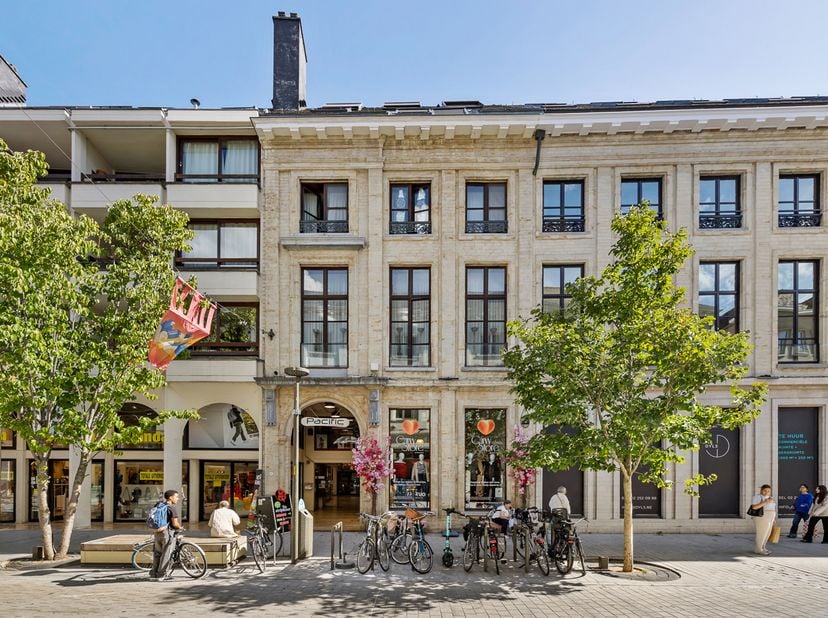 Bien professionnel à vendre
                    à 2800 Mechelen