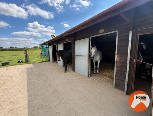                                         Weide te koop in Asse, € 120.000
