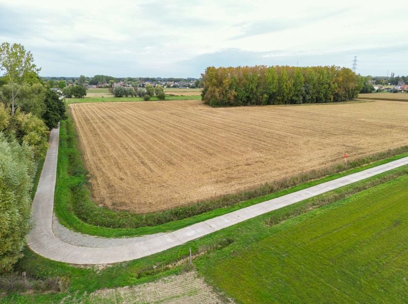 Grond te koop in Achterdenken /,
                    9255 Buggenhout