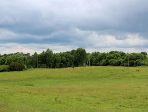                                         Bouwgrond te koop in Theux, € 275.000
