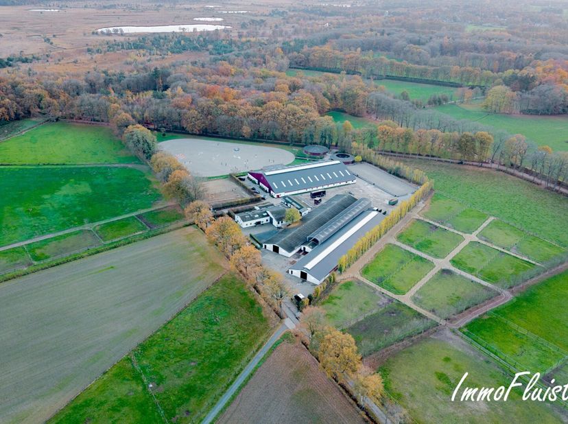 Voulez-vous pouvoir entraîner vos chevaux de manière optimale dans un environnement calme et verdoyant ? Alors, cette installation équestre complète v