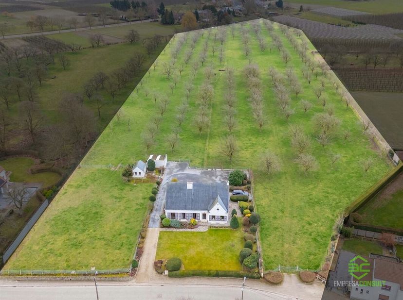 + Als u op onze eigen website (www.empresaconsult.be) naar deze woning doorklikt, vindt u alle info en een volledige 360° impressie! +<br />
Deze stat