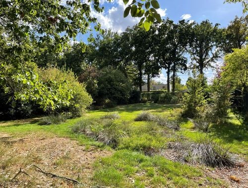                                         Terrain à bâtir à vendre à Halle, € 320.000
