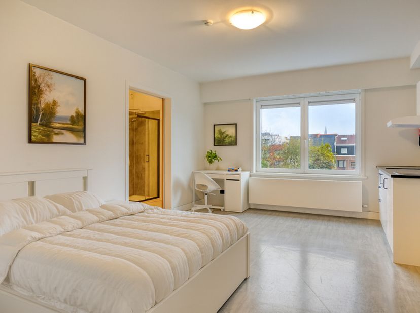 Ontdek deze aangename en praktische studentenkamer van 19,96 m² in het volledig vernieuwde studentencomplex Student Home, gelegen aan de Jan Delvinlaa