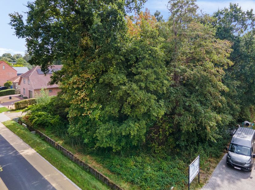 Ruime bouwgrond van ca. 59a42ca in Balen<br />
<br />
<br />
<br />
Deze bijzonder ruime bouwgrond is gelegen langs Hulsen in Balen en biedt een int