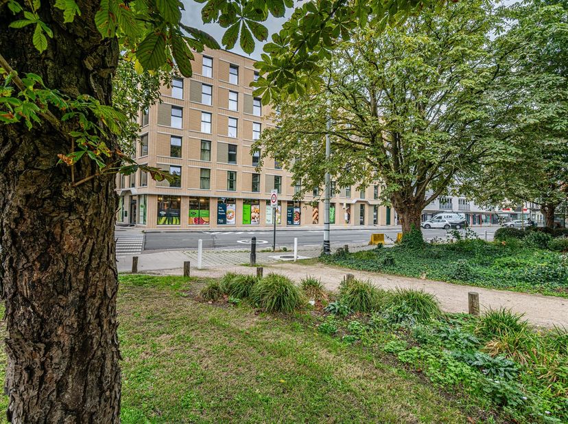 Kot-chambre à louer à Hundelgemsesteenweg 29 boîte 1.01,
                    9000 Gent