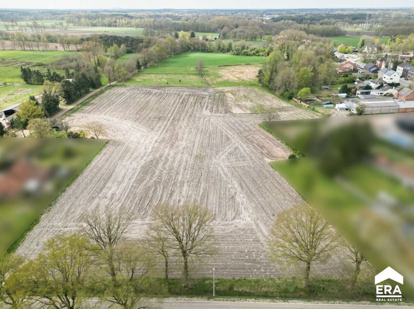 Terrain à vendre
                    à 3990 Wijchmaal