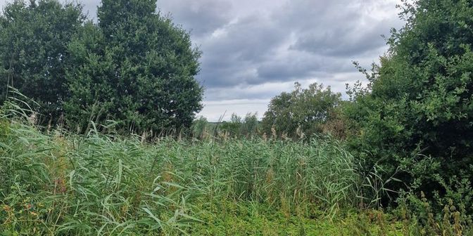 Grond te koop in 9260 Schellebelle