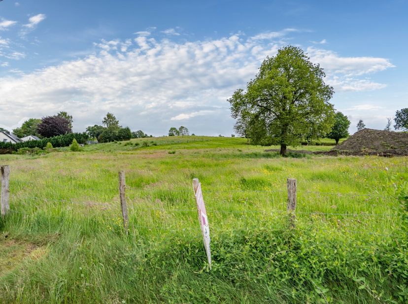 ERA B-LUX biedt u dit perceel aan, ideaal gelegen in de gemeente Bertogne (regio Bastogne).Met een oppervlakte van 12 are 78 biedt dit terrein een ide